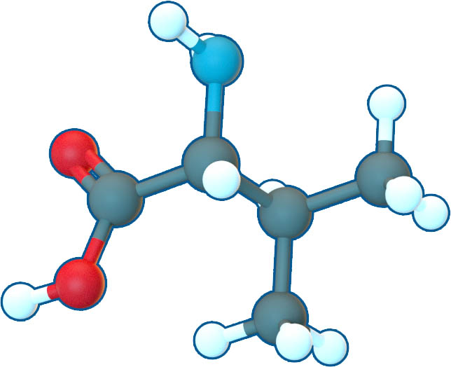 Image of L-Valine | C5H11NO2 | Supreme Pharmatech